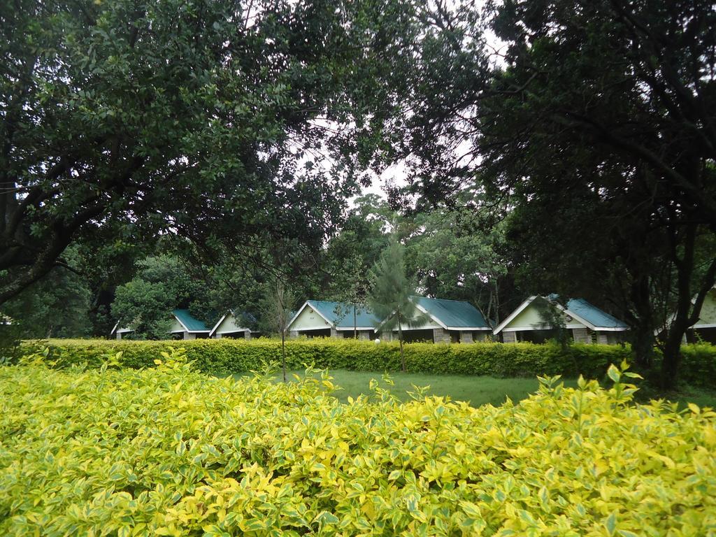 Rhino Tourist Camp Hotel Ololaimutiek Екстериор снимка
